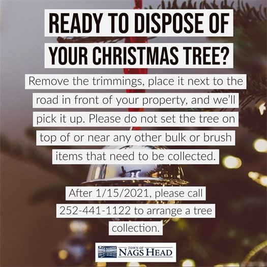 Christmas Tree Disposal - Call Nags Head Public Works at 252-441-1122 for more information. 