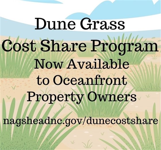 Nags Head Oceanfront Property Owners - a new dune grass cost share program is now available to help homeowners who want to plant approved, native dune vegetation. Visit nagheadnc.gov/dunecostshare for more information.