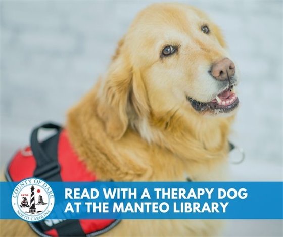 Read with a therapy dog at the Manteo library.