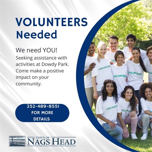 We're looking for volunteers to help with events at Dowdy Park.