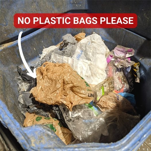 Recycle right...no plastic bags in your recycling bin. 
