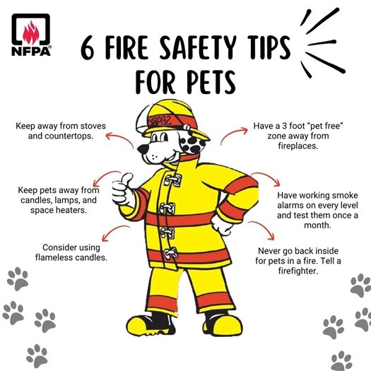 Six Fire Safety Tips for Your Pets
