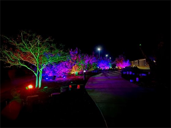 Dowdy Park Lit Up for Fat Tuesday