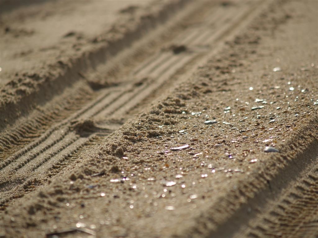 Beach area with tire tracks in sand