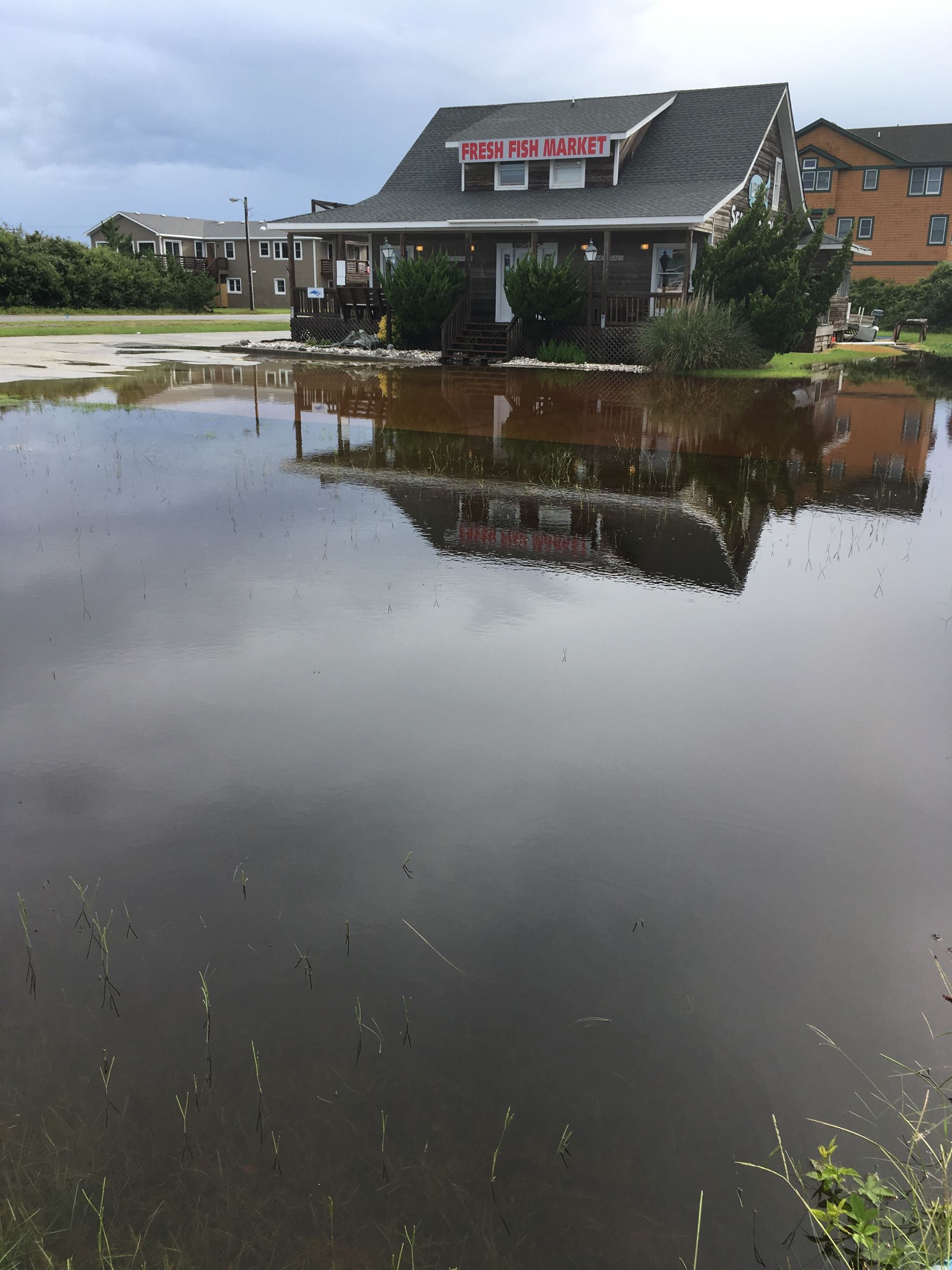 Whalebone Seafood Flooding