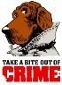 Dare County Crime Line Logo
