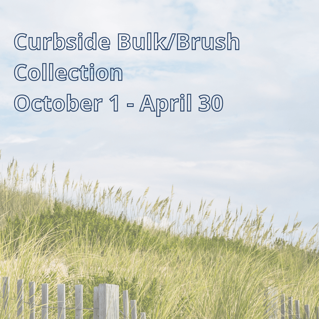 Bulk Brush Curbside Collection 