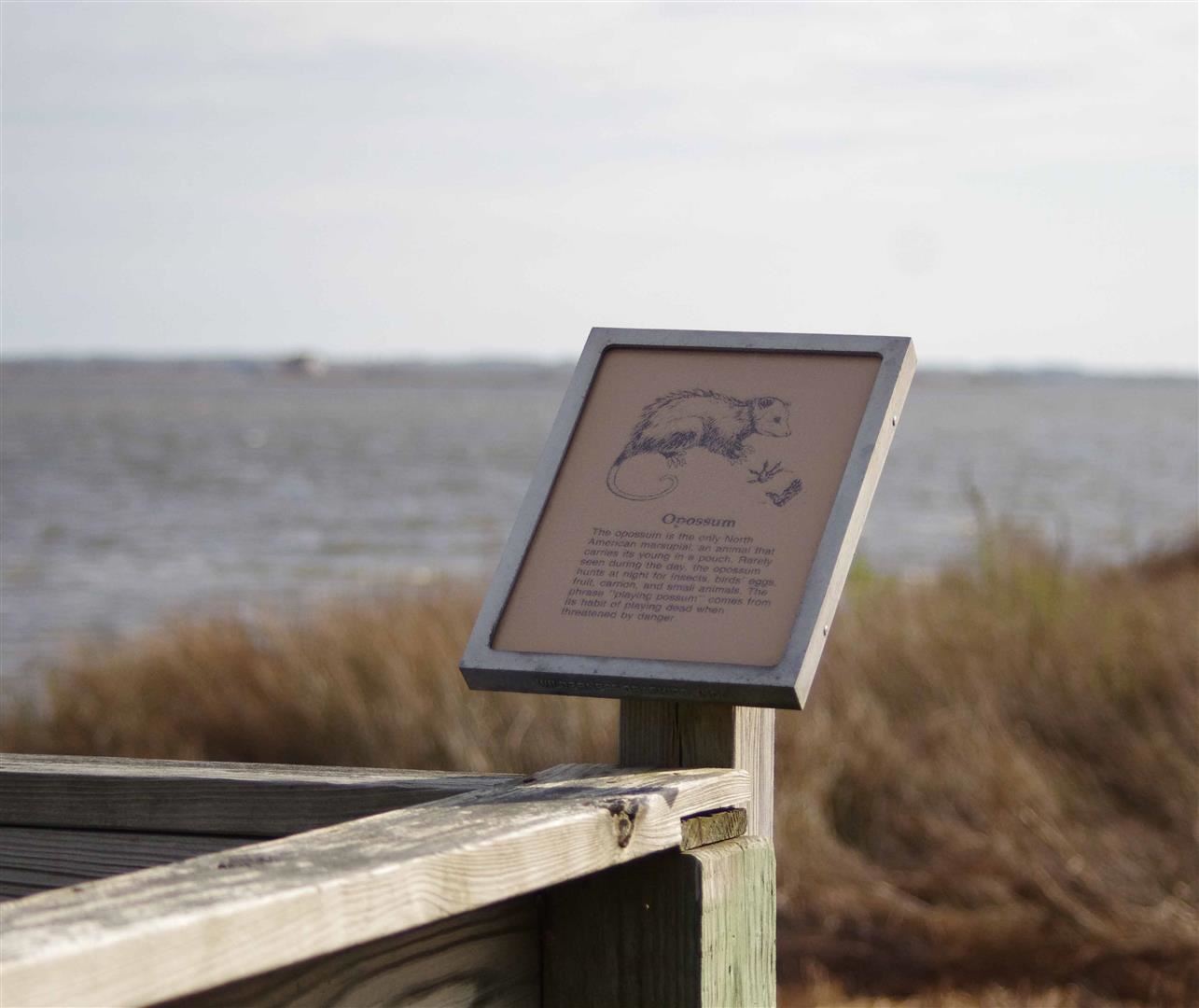 Sign With Information on Opossums