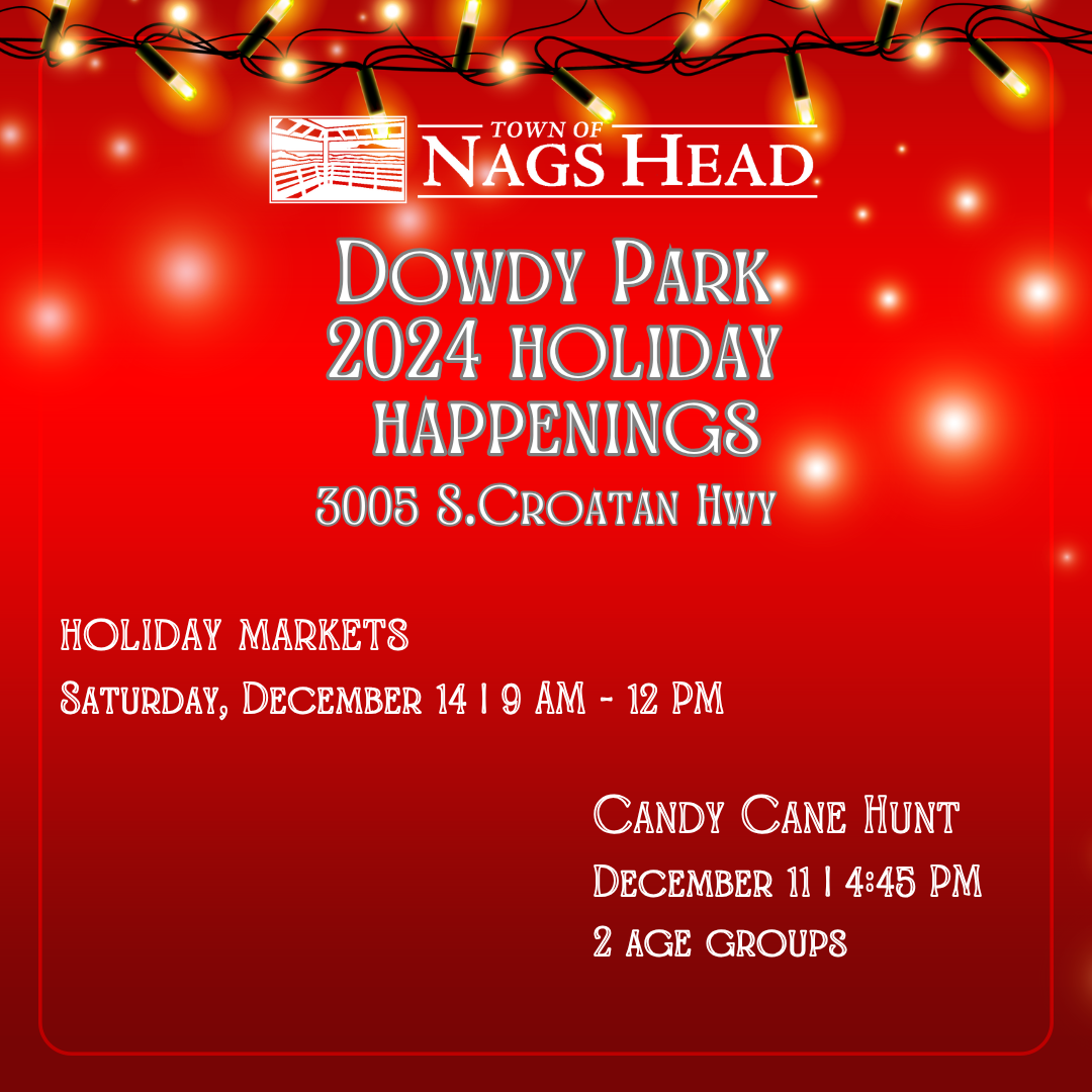 Dowdy Park Holiday Happenings 