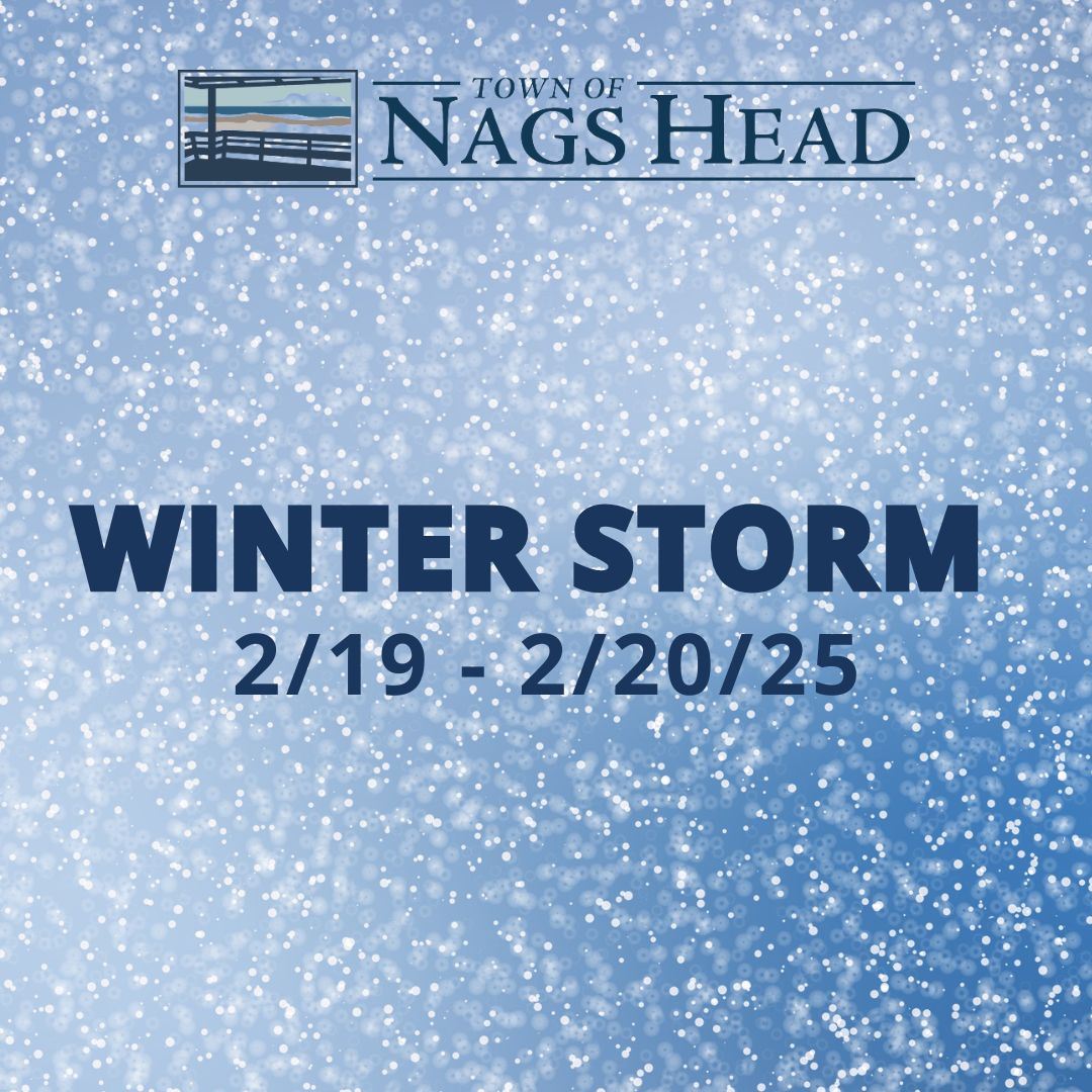 Winter Storm Feb 2025