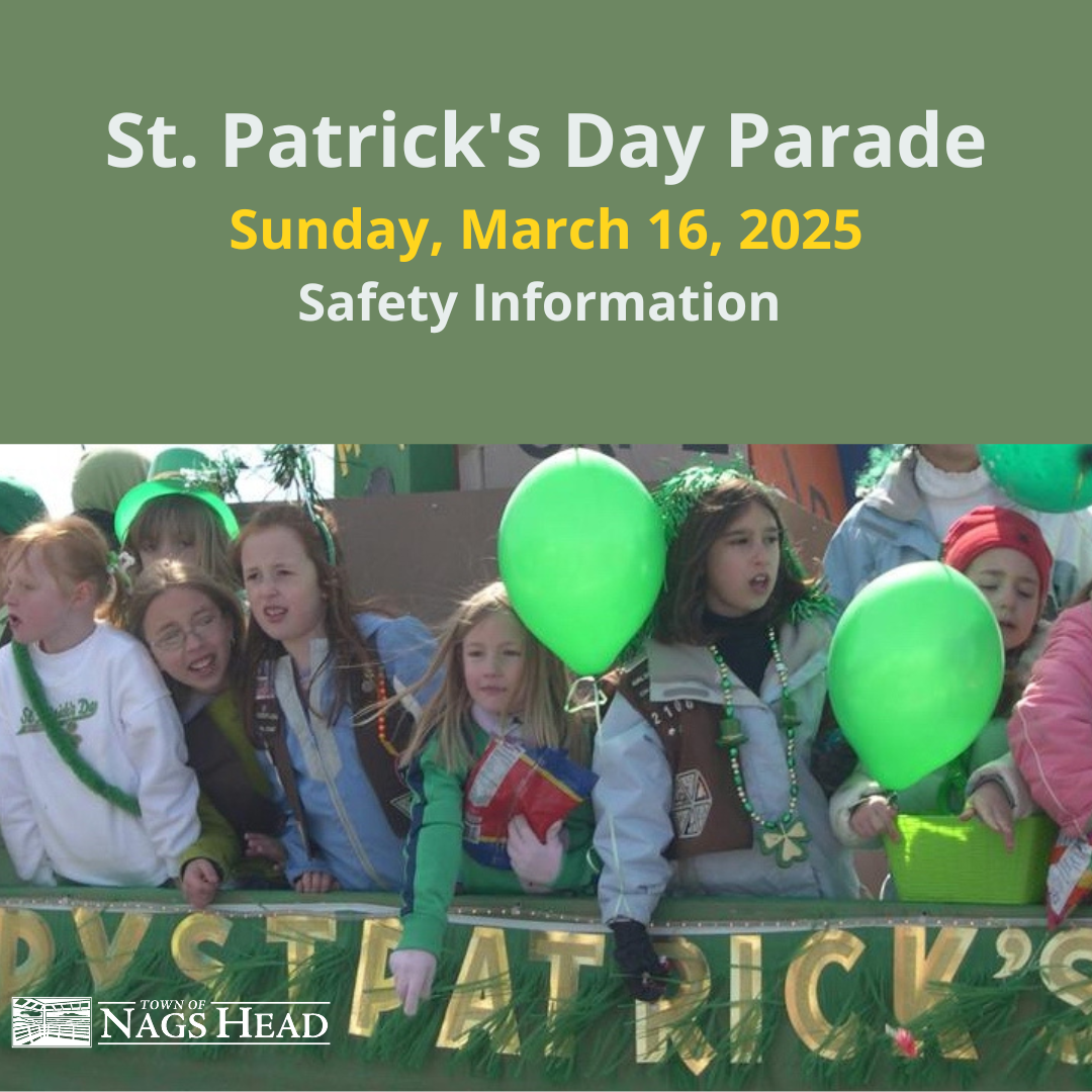 St. Patrick's Day Parade Safety Information 