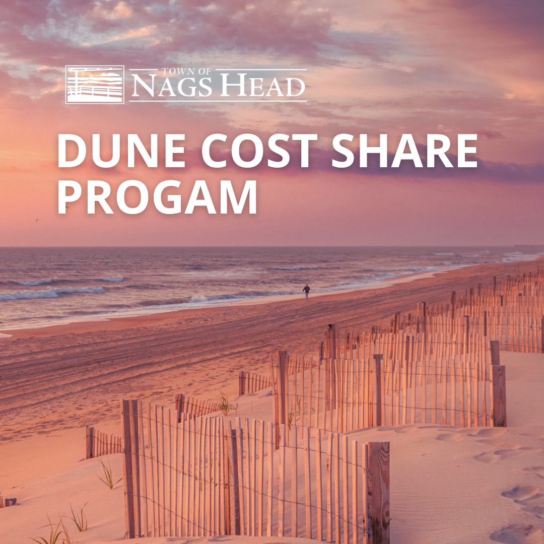 Dune Vegetation Cost Share Program 