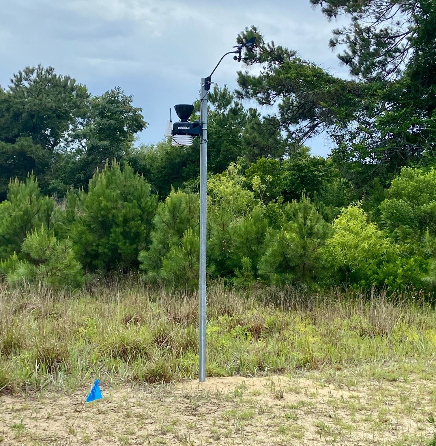 Water Plant Weather Station