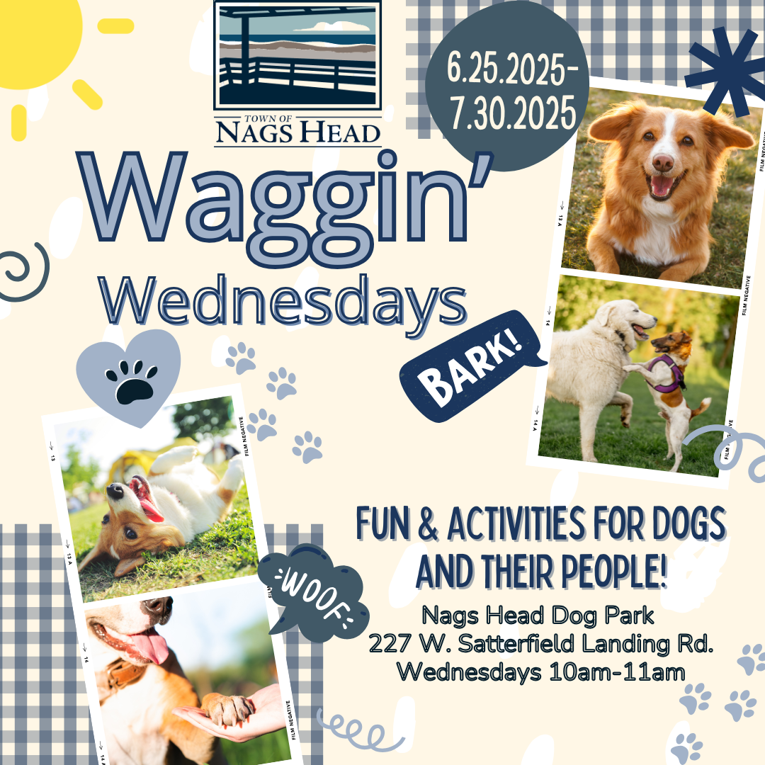 Waggin' Wednesdays 2025